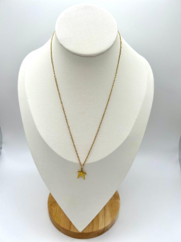 Collar estrella pequeña