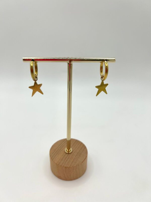 Pendientes estrella pequeña