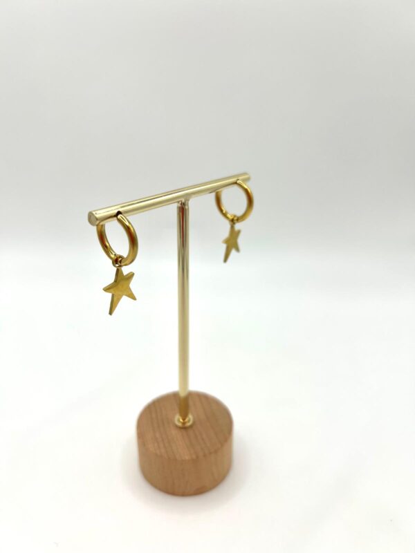 Pendientes estrella pequeña